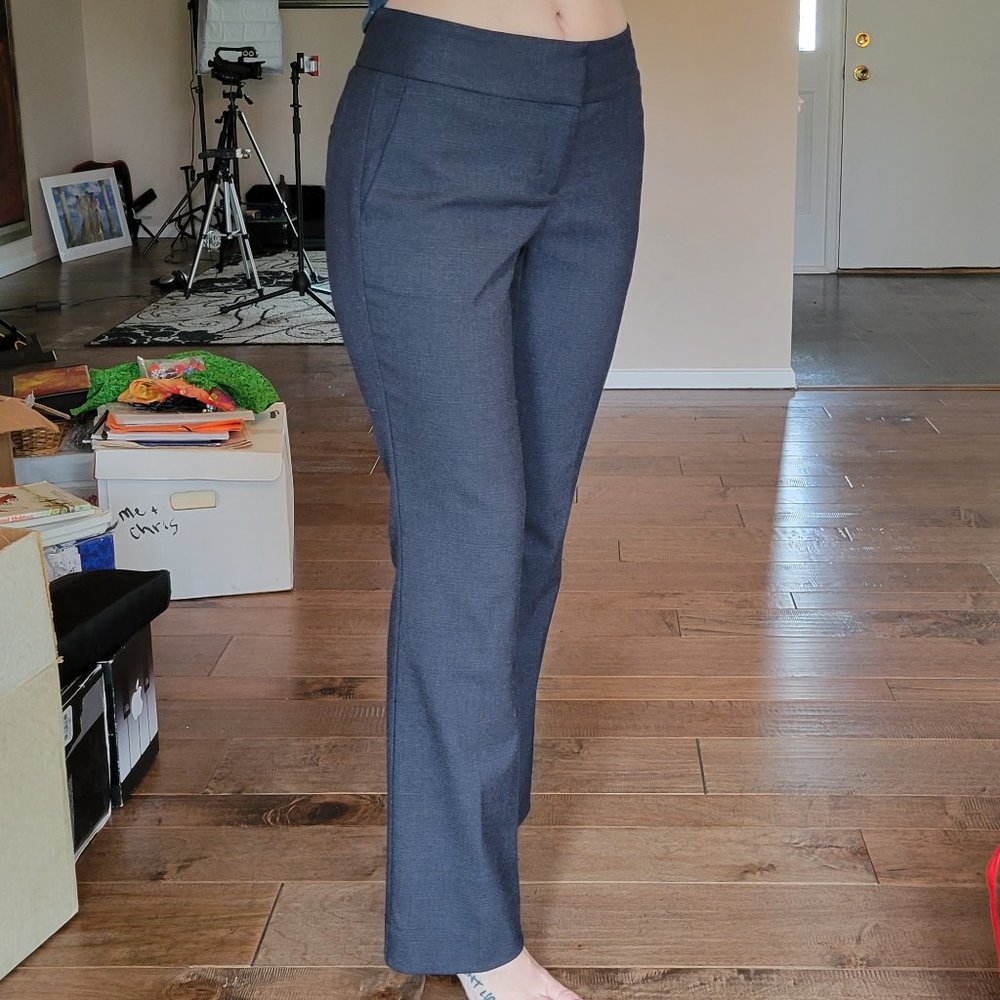 Ann Taylor Factory Petite Trousers